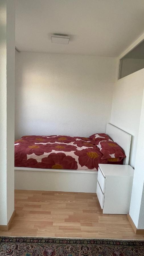 1,5 Zimmerwohnung In Heidelberg Zewnętrze zdjęcie